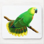 Amazon Parrot Mousepad