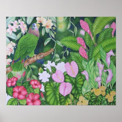 Amazon Parrot Posters by joeyartist