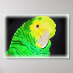 Amazon Parrot Print