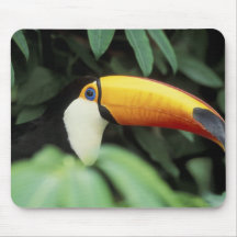 Amazon Rain Forest. Mouse Pads