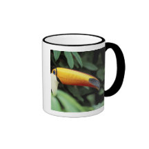 Amazon Rain Forest. Mugs