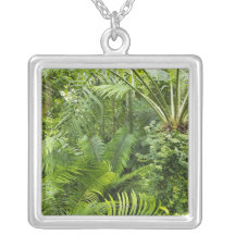 Amazon Rainforest, Amazonia, Brazil 2 Jewelry