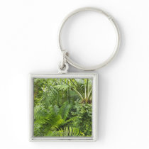 Amazon Rainforest, Amazonia, Brazil 2 Keychain