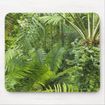 Amazon Rainforest, Amazonia, Brazil 2 Mousepads