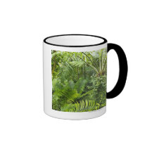 Amazon Rainforest, Amazonia, Brazil 2 Mugs