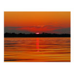 Amazon River Post Card
