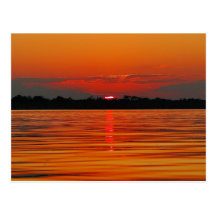 Amazon River Post Card