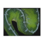 Amazon Tree Boa Post Cards