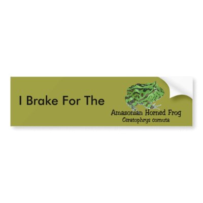 Amazonian Horned Frog Bumper Sticker by mrssocolov