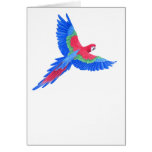Amazonian Macaw Greeting Cards