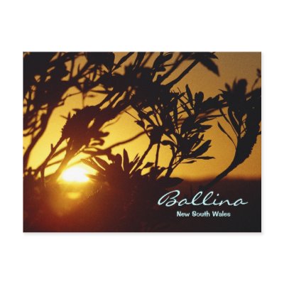 Amber Glow Post Card by breeza78