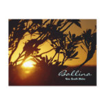 Amber Glow postcards