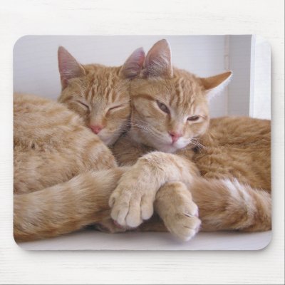 Amber&Topez Mouse Pad by okcshelter