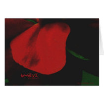 Ambience Greeting Cards