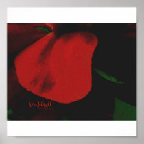 Ambience Print