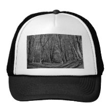 Ambresbury Banks Iron Age fortification Hats