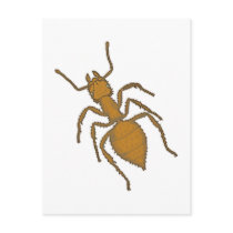 Ameise ant postkarte