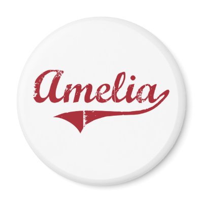 Amelia Ohio Classic Design Fridge Magnets by cityshirt