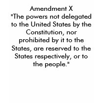 Amendment X"The powers not delegated to the Uni... Shirt