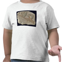 Amenophis IV  with baboons, New Kingdom T Shirt