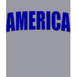 America fitted sweatshirt