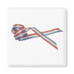 America Patriotic 400 Magnet