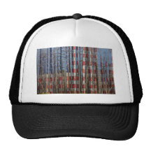 America Still Beautiful Hat