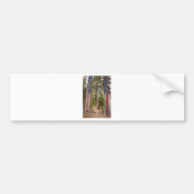 America The Beautiful Show Me The Way Bumper Sticker