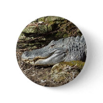 American Alligator Buttons