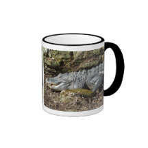 American Alligator Mugs