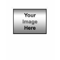 American Apparel T-Shirt (Fitted)