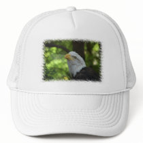 American Bald Eagle Baseball Hat