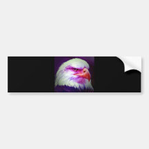American Bald Eagle Bumper Stickers