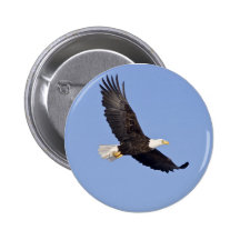 American Bald Eagle Buttons