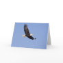 American Bald Eagle Greeting Cards
