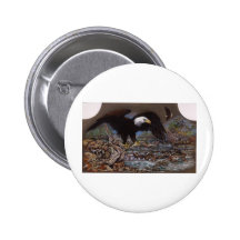 American Bald Eagle Fishing Pinback Buttons