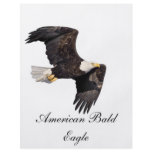 American bald Eagle Custom Flyer