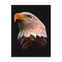 American Bald Eagle Head Postcards
