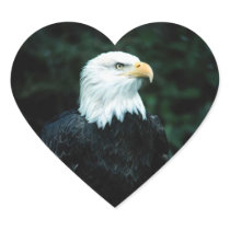 American Bald Eagle Heart Sticker