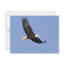 American Bald Eagle Custom Invites