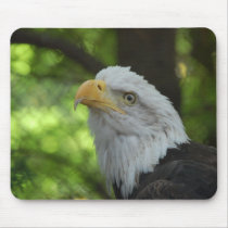 American Bald Eagle Mouse Pad