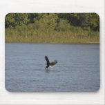 American Bald Eagle Mouse Pad