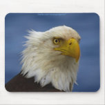 AMERICAN BALD EAGLE Mousepad series