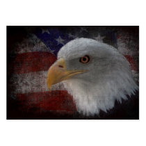 American Bald Eagle on Flag