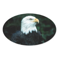 American Bald Eagle Oval Sticker