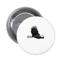 American Bald eagle Pinback Button
