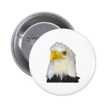 American Bald Eagle Pinback Button