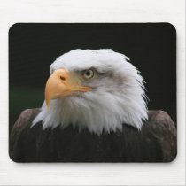 american Bald Eagle Portrait Mousepad