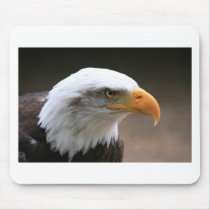 american Bald Eagle Portrait Mouse Mats