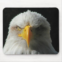 american Bald Eagle Portrait. Mousemat